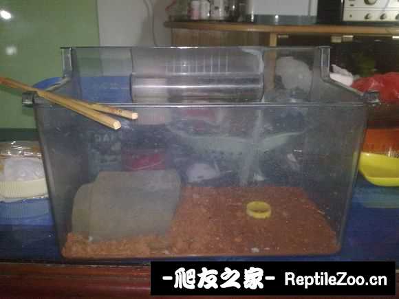 display_picture.php?url=http%3A%2F%2Fimgsa.baidu.com%2Fforum%2Fw%253D580%2Fsign%3D3870dfd349540923aa696376a259d1dc%2Fde17c5ea15ce36d360f8a2c03af33a87eb50b1e0.jpg