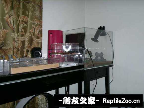 display_picture.php?url=http%3A%2F%2Fimgsa.baidu.com%2Fforum%2Fw%253D580%2Fsign%3Dbc235163462309f7e76fad1a420f0c39%2F21ad47fbfbedab64f0260937f736afc378311e17.jpg
