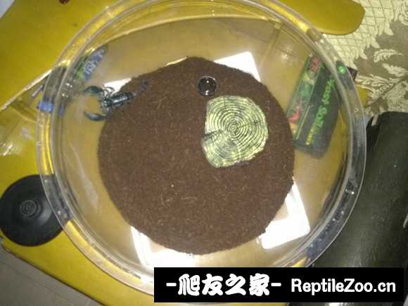 display_picture.php?url=http%3A%2F%2Fimgsa.baidu.com%2Fforum%2Fw%253D580%2Fsign%3Dda0c8586d439b6004dce0fbfd9513526%2Fabd187d4b31c87016e493483267f9e2f0608ff7f.jpg