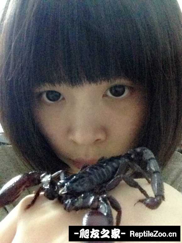 display_picture.php?url=http%3A%2F%2Fimgsa.baidu.com%2Fforum%2Fw%253D580%2Fsign%3D29c0b769b90e7bec23da03e91f2fb9fa%2Fb8cf59fbb2fb43167de3d91c21a4462308f7d37e.jpg