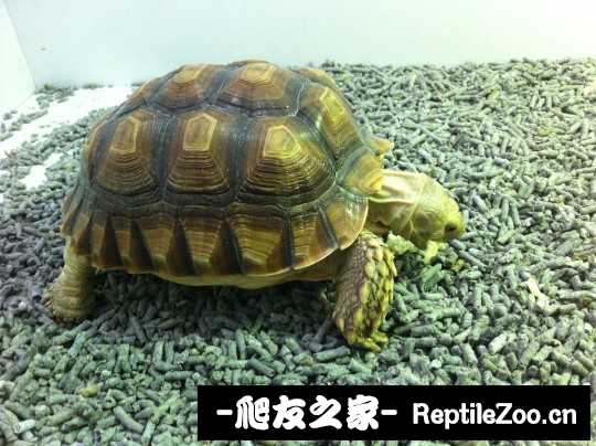 155525hxtztjakzddkdkl3.jpg