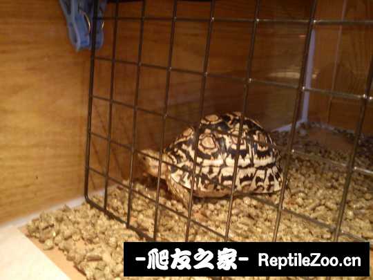 155758pzipxxxp7p2szept.jpg