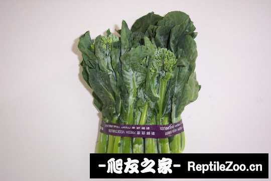 155916icf99908w94qcob9.jpg