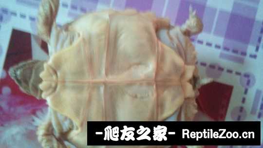 162406nk2liy0dc42c07nd.jpg