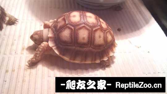 162406pq6769i1iyjgi1y3.jpg
