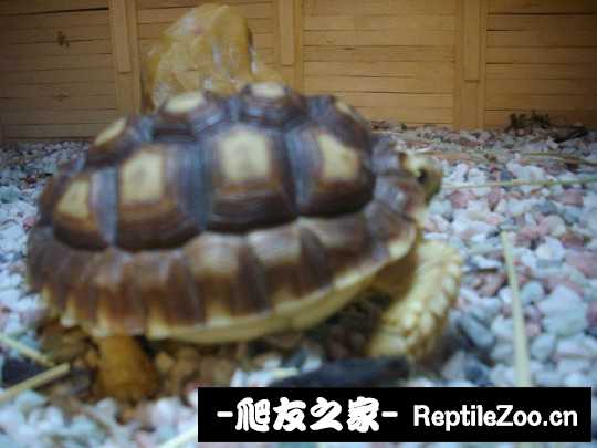 162442b6mtdmljjhzhv4zc.jpg