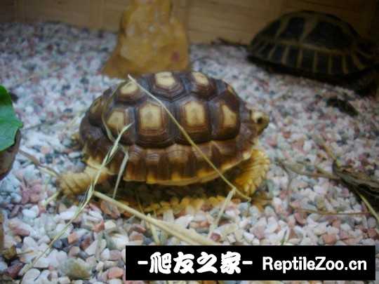 162443y5u21epjfpbb9yeo.jpg
