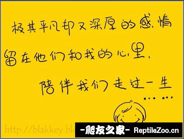 display_picture.php?url=http%3A%2F%2Fimgsa.baidu.com%2Fforum%2Fw%253D580%2Fsign%3Df0bfff56b80e7bec23da03e91f2fb9fa%2Fb8cf59fbb2fb4316a49c912320a4462308f7d30f.jpg