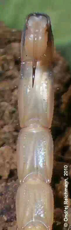 display_picture.php?url=http%3A%2F%2Fimgsa.baidu.com%2Fforum%2Fw%253D580%2Fsign%3Dea1ed4fcd42a283443a636036bb4c92e%2Fbcb0bf1bb051f8190c5fc7abdab44aed2f73e778.jpg