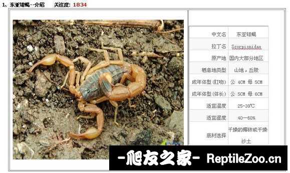 display_picture.php?url=http%3A%2F%2Fimgsa.baidu.com%2Fforum%2Fw%253D580%2Fsign%3D4a6b7857513d26972ed3085565fab24f%2F8a864ea7d933c8953bc4dde6d11373f083020013.jpg