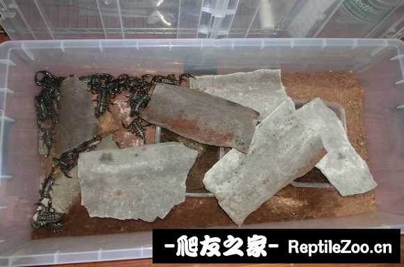 display_picture.php?url=http%3A%2F%2Ftiebapic.baidu.com%2Fforum%2Fw%253D580%2Fsign%3Da10e721742fbb2fb342b581a7f4b2043%2F54e1a14bd11373f07ae215d5b30f4bfbfaed0439.jpg