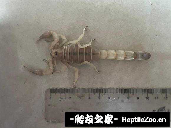 display_picture.php?url=http%3A%2F%2Ftiebapic.baidu.com%2Fforum%2Fw%253D580%2Fsign%3De3a4f3367c01213fcf334ed464e536f8%2Fa33555ee3d6d55fbdc4fb1c928224f4a22a4ddf3.jpg