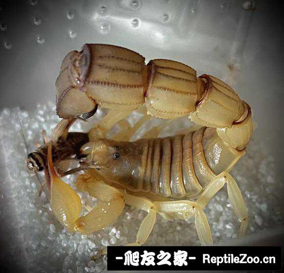 display_picture.php?url=http%3A%2F%2Ftiebapic.baidu.com%2Fforum%2Fw%253D580%2Fsign%3Dcf788e06c81001e94e3c1407880c7b06%2F8d585d3d269759ee51d9a724f7fb43166f22dff3.jpg