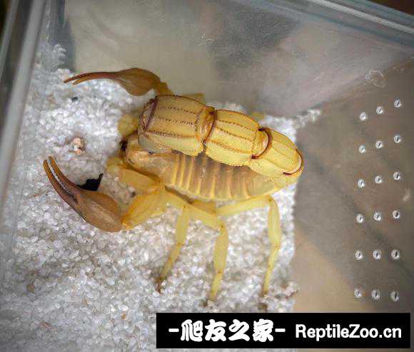 display_picture.php?url=http%3A%2F%2Ftiebapic.baidu.com%2Fforum%2Fw%253D580%2Fsign%3D2a33e12a07afa40f3cc6ced59b65038c%2F367c9082d158ccbf3542e32244d8bc3eb035414a.jpg