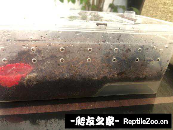 display_picture.php?url=http%3A%2F%2Ftiebapic.baidu.com%2Fforum%2Fw%253D580%2Fsign%3D28afe4b1bd1986184147ef8c7aef2e69%2F1a9ff4dcd100baa156a5266b0210b912cafc2ef3.jpg