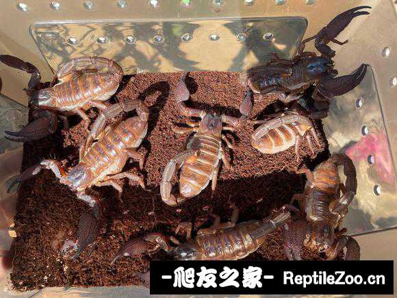 display_picture.php?url=http%3A%2F%2Ftiebapic.baidu.com%2Fforum%2Fw%253D580%2Fsign%3D6fadc644463b5bb5bed720f606d2d523%2F7dbb8a18367adab40d74dcacced4b31c8501e4d8.jpg