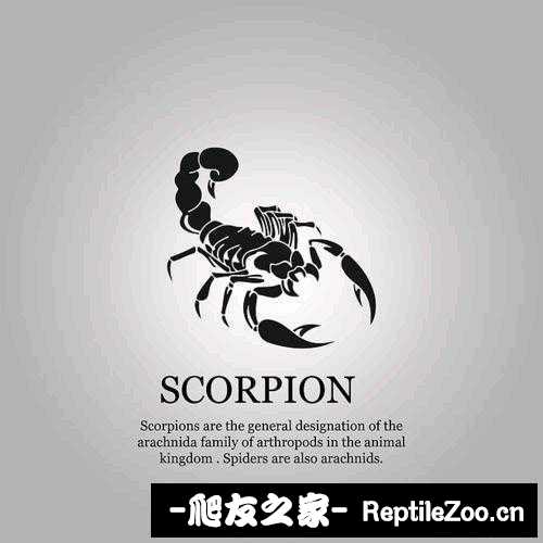 display_picture.php?url=http%3A%2F%2Ftiebapic.baidu.com%2Fforum%2Fw%253D580%2Fsign%3D8ac082c4fd99a9013b355b3e2d970a58%2Ff8bcde1b0ef41bd5389eb62414da81cb3bdb3db7.jpg