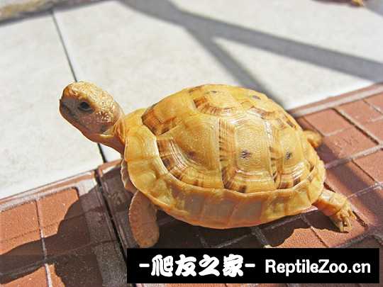 202605mxk01y68k60x06j6.jpg