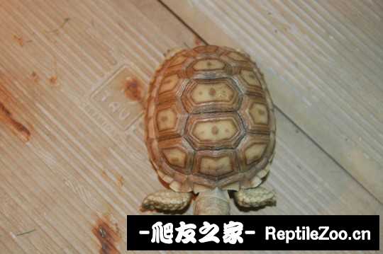 202642ngggf3fa33agma1m.jpg