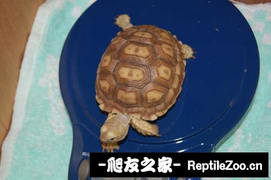 202642x8e6kkpdky46dpge.jpg
