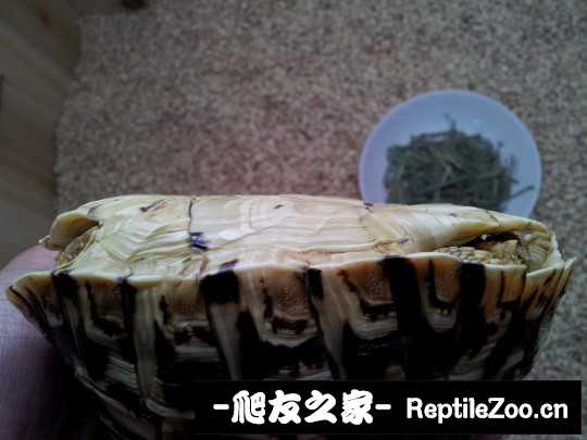 202653wqpuwgiq129ibpvh.jpg