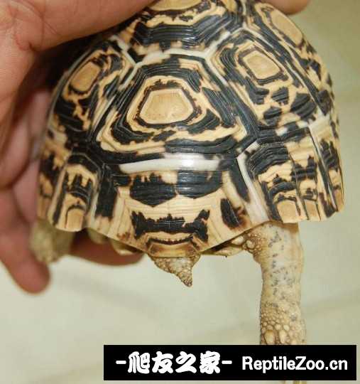 202710j5x1ffftgoqnt7of.jpg