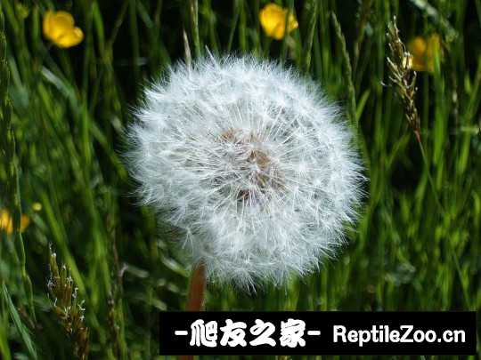 205759g0az1a00eaza1aa4.jpg