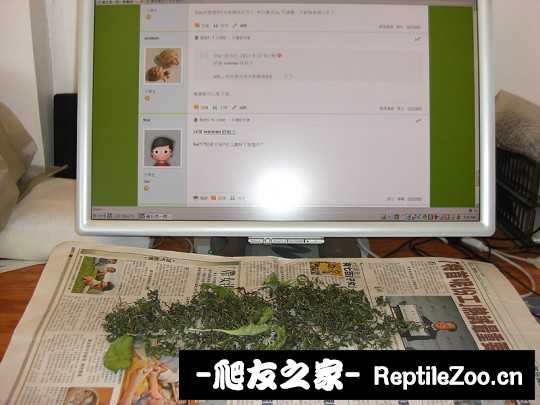 205801pg4ddkjebggg14yi.jpg
