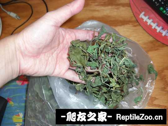 205801s7rc33fhf4mchk26.jpg