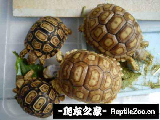 210034q8ss69ueskxehuir.jpg