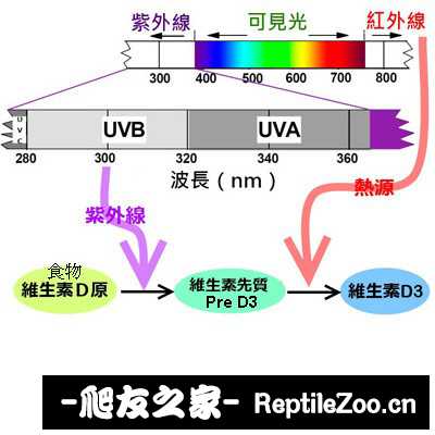 210243epjp9uriss1jjp81.jpg