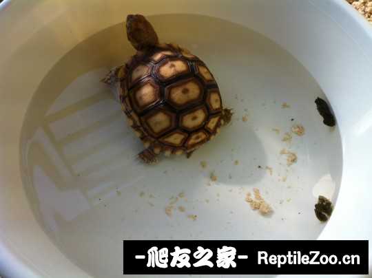 210603cwrgqemsmxkgknqq.jpg