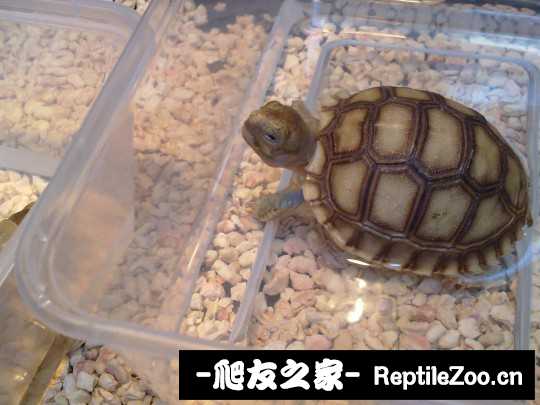 210801yxzsp4u4nwcm8quq.jpg