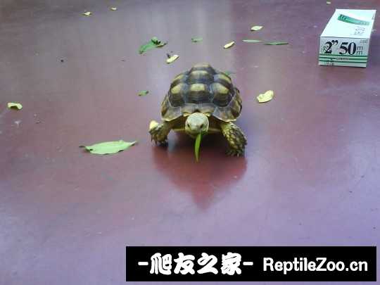 210834p2fdm92b1ffakii9.jpg