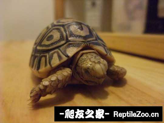 211108rk6aoooz6kj6joap.jpg