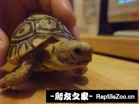 211108yxxc5l3cgl6pq56c.jpg