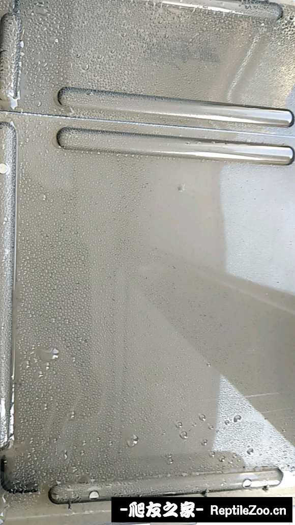 display_picture.php?url=http%3A%2F%2Ftiebapic.baidu.com%2Fforum%2Fw%253D580%2Fsign%3Ddb5105a6e5d3572c66e29cd4ba126352%2Fd7c4dc160924ab1846abb37822fae6cd7a890b66.jpg