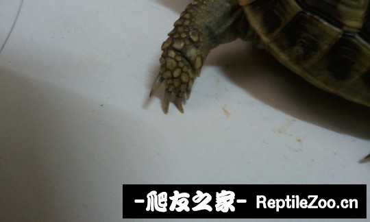 213119u7cnn499ingmwn2h.jpg