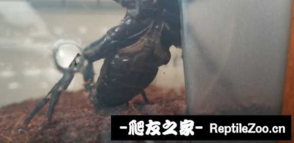 display_picture.php?url=http%3A%2F%2Ftiebapic.baidu.com%2Fforum%2Fw%253D580%2Fsign%3Dbd67f428ba345982c58ae59a3cf5310b%2Ffe5606d162d9f2d37d9644b3beec8a136227cc0d.jpg