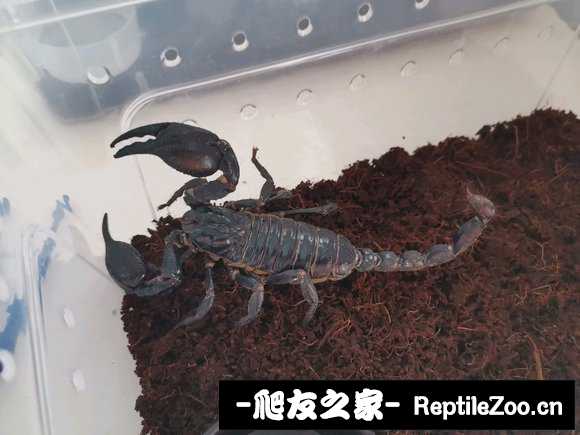 display_picture.php?url=http%3A%2F%2Ftiebapic.baidu.com%2Fforum%2Fw%253D580%2Fsign%3Dceb81941c30735fa91f04eb1ae500f9f%2Fa857ecfe9925bc3139c0bac249df8db1ca137069.jpg