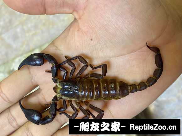 display_picture.php?url=http%3A%2F%2Ftiebapic.baidu.com%2Fforum%2Fw%253D580%2Fsign%3D69f18c29ba4bd11304cdb73a6aaea488%2F58f65a4e9258d10912bac1e8c658ccbf6d814db5.jpg