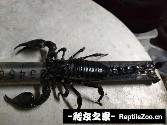 display_picture.php?url=http%3A%2F%2Ftiebapic.baidu.com%2Fforum%2Fw%253D580%2Fsign%3Da3bfd754af0e7bec23da03e91f2fb9fa%2Fb8cf59fbb2fb4316f79cb92137a4462308f7d309.jpg