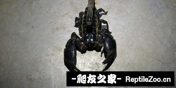 display_picture.php?url=http%3A%2F%2Ftiebapic.baidu.com%2Fforum%2Fw%253D580%2Fsign%3D83dd716ab68b87d65042ab1737092860%2F466ccffdfc039245e64922549094a4c27c1e250b.jpg