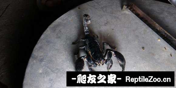 display_picture.php?url=http%3A%2F%2Ftiebapic.baidu.com%2Fforum%2Fw%253D580%2Fsign%3D44672f58df95d143da76e42b43f18296%2Fccf60523dd54564e94982762a4de9c82d0584f0a.jpg