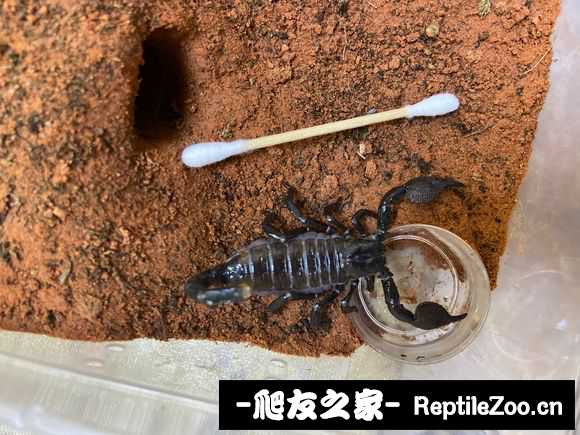 display_picture.php?url=http%3A%2F%2Ftiebapic.baidu.com%2Fforum%2Fw%253D580%2Fsign%3D03cfac8a43e736d158138c00ab514ffc%2F37594f166d224f4a9b6591451ef790529922d10f.jpg