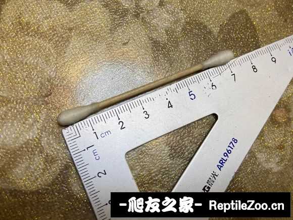 display_picture.php?url=http%3A%2F%2Ftiebapic.baidu.com%2Fforum%2Fw%253D580%2Fsign%3Dcac5e29cf1cd7b89e96c3a8b3f254291%2F1c87b0315c6034a8401d5ad7dc1349540823760f.jpg
