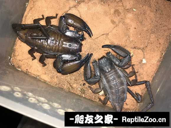 display_picture.php?url=http%3A%2F%2Ftiebapic.baidu.com%2Fforum%2Fw%253D580%2Fsign%3D4c8766a69ab1cb133e693c1bed5556da%2Fb1390f3b5bb5c9ea6de10eaac239b6003bf3b38f.jpg