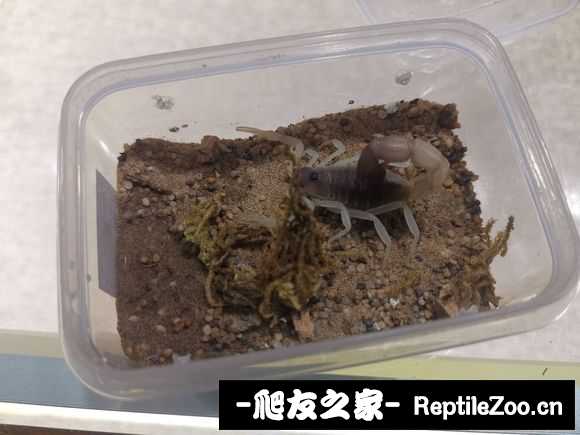 display_picture.php?url=http%3A%2F%2Ftiebapic.baidu.com%2Fforum%2Fw%253D580%2Fsign%3Db91f10cec7a20cf44690fed746084b0c%2F77715b2c11dfa9ec6a8ec15e75d0f703908fc17e.jpg