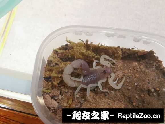 display_picture.php?url=http%3A%2F%2Ftiebapic.baidu.com%2Fforum%2Fw%253D580%2Fsign%3Dc5478d57ae389b5038ffe05ab534e5f1%2Fcae82ca4462309f763c43a5b650e0cf3d6cad677.jpg