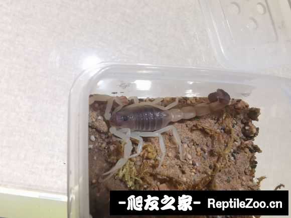 display_picture.php?url=http%3A%2F%2Ftiebapic.baidu.com%2Fforum%2Fw%253D580%2Fsign%3Dec729b78363fb80e0cd161df06d02ffb%2Fdc4c316d55fbb2fbae8dcf5b584a20a44723dc7c.jpg